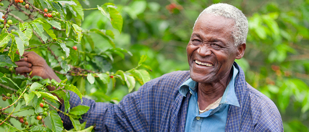 Social Responsibilty